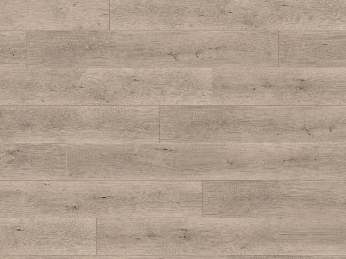 Parchet laminat Egger Nature Sense 2025, Stejar Pinot gri deschis, format  Clasic, 8 mm/32 (AC4),  Aqua 24